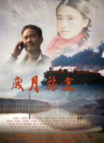 小猫视频大全搞笑可爱